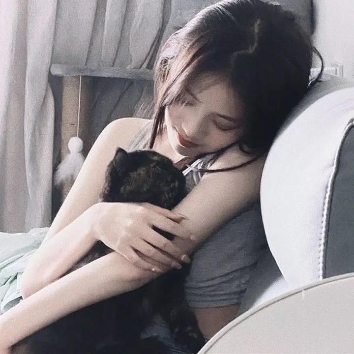 灵书妙探第七季