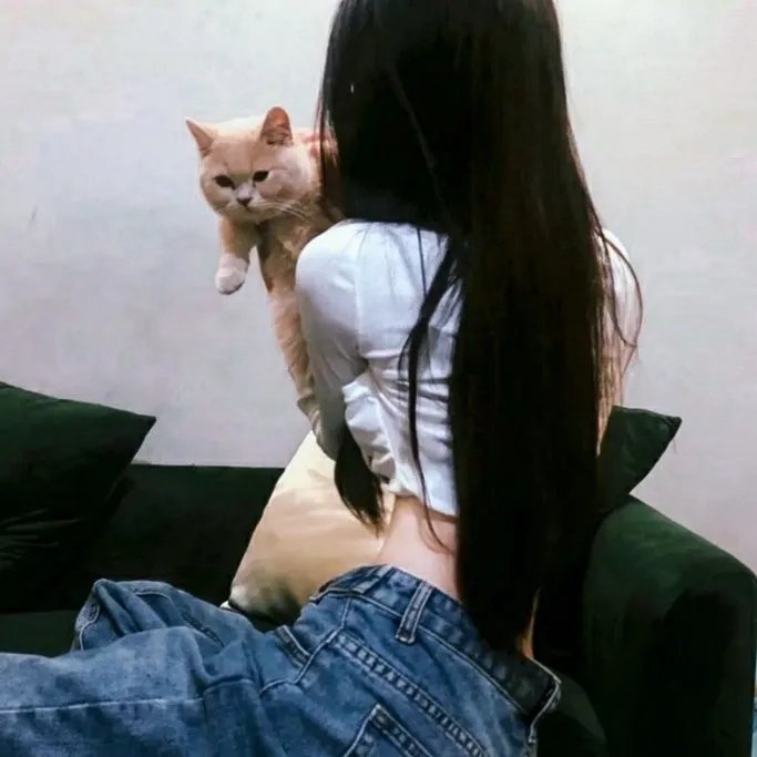 茶煲女人